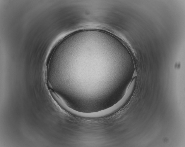 X0000096631472200803041053