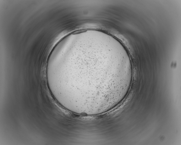 X0000096631473200803041053