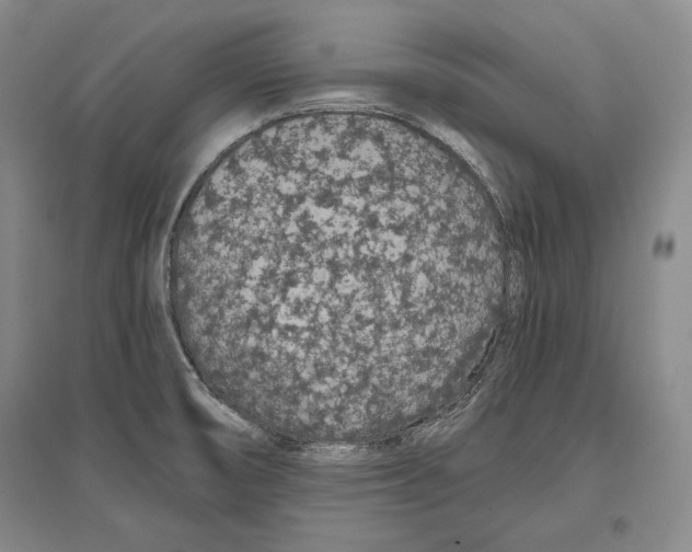 X0000096631474200803041053