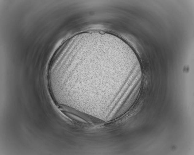 X0000096631475200803041053