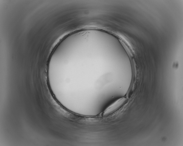 X0000096631476200803041053