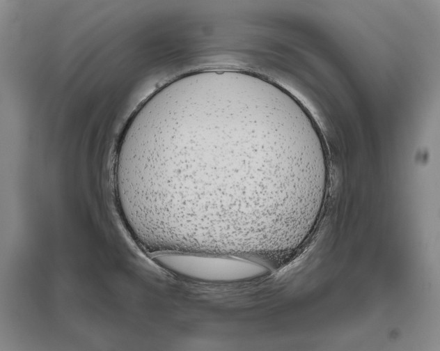 X0000096631477200803041053