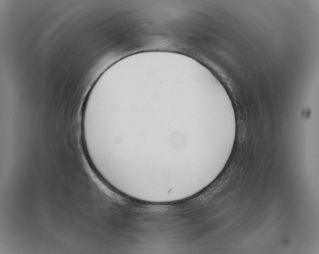 X0000096631479200803041053