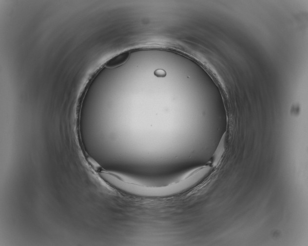X0000096631480200803041053