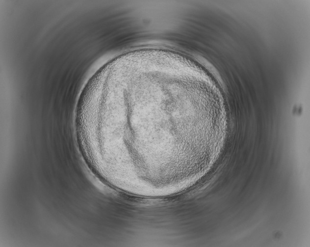 X0000096631482200803041053