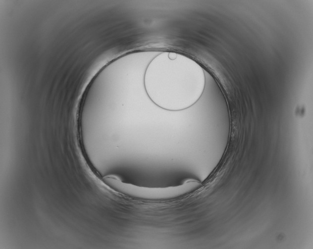 X0000096631483200803041053