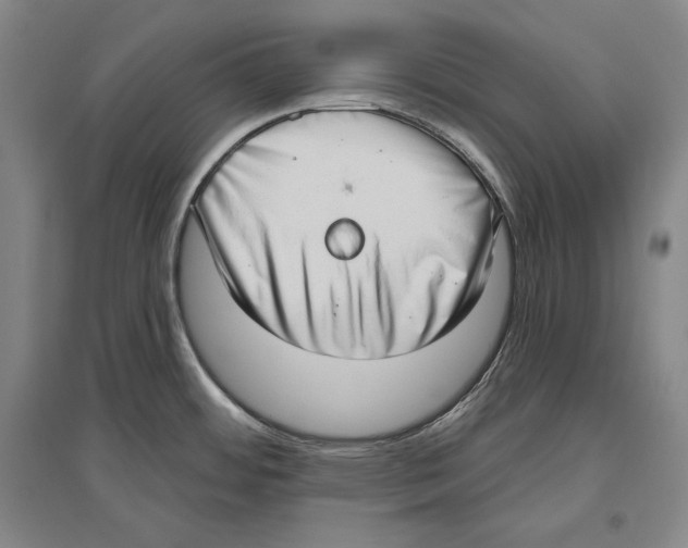 X0000096631484200803041053