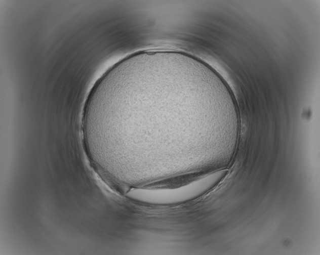 X0000096631485200803041053