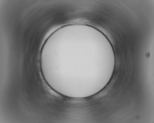 X0000096631486200803041053