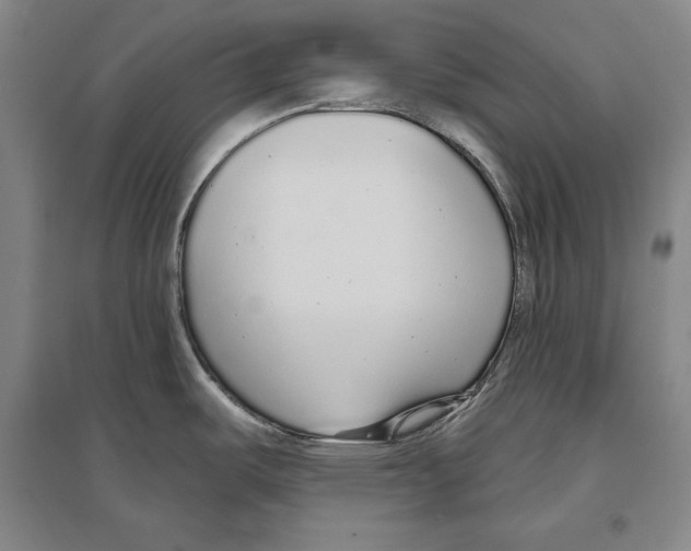 X0000096631487200803041053