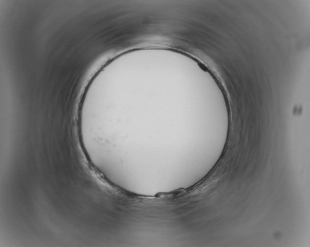X0000096631488200803041053