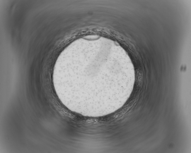 X0000096631489200803041052