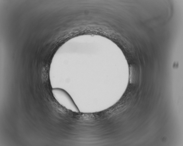 X0000096631491200803041052