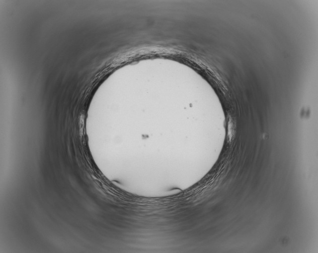 X0000096631492200803041052