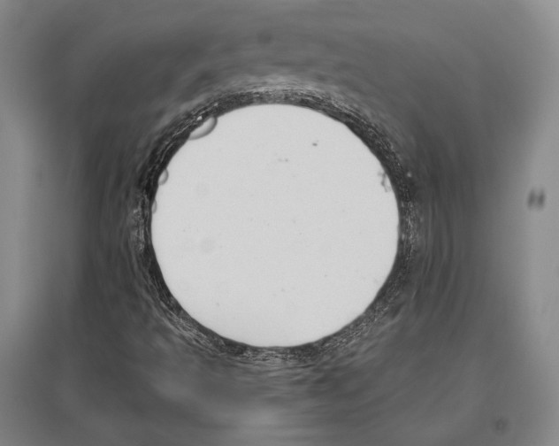 X0000096631493200803041052
