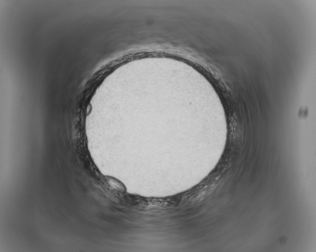 X0000096631494200803041052