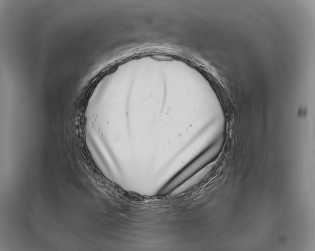 X0000096631496200803041052