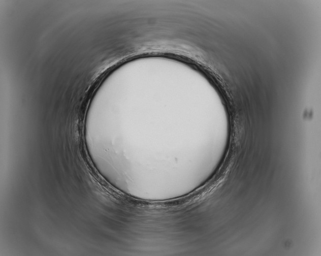 X0000096631497200803041052