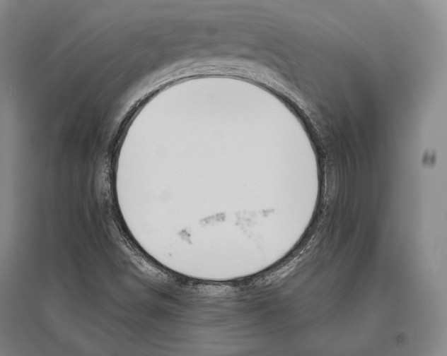 X0000096631498200803041052