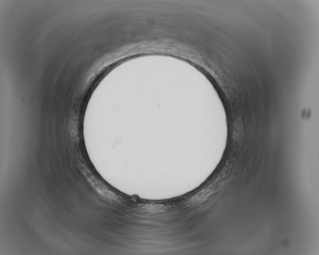 X0000096631499200803041052