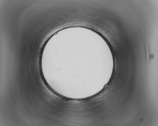 X0000096631500200803041052