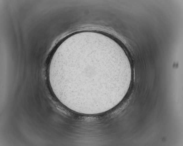 X0000096631501200803041052
