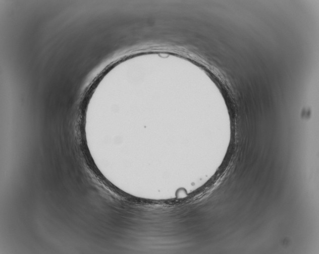 X0000096631502200803041052