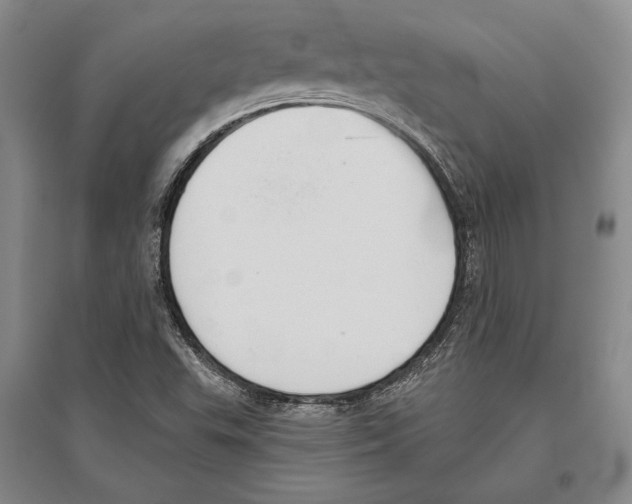 X0000096631503200803041053