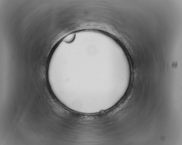 X0000096631505200803041053