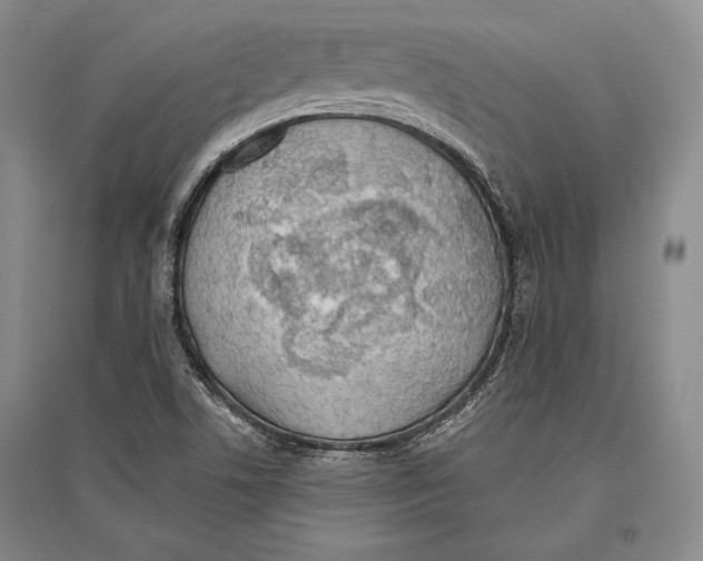 X0000096631506200803041053