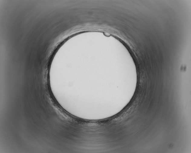 X0000096631507200803041053