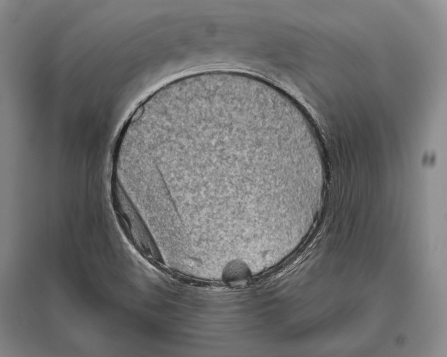 X0000096631508200803041053