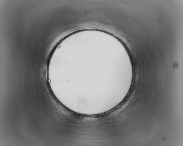 X0000096631509200803041053