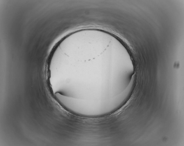 X0000096631510200803041053