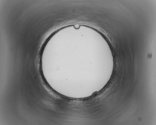 X0000096631511200803041053