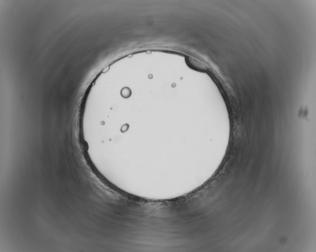 X0000096631512200803041053