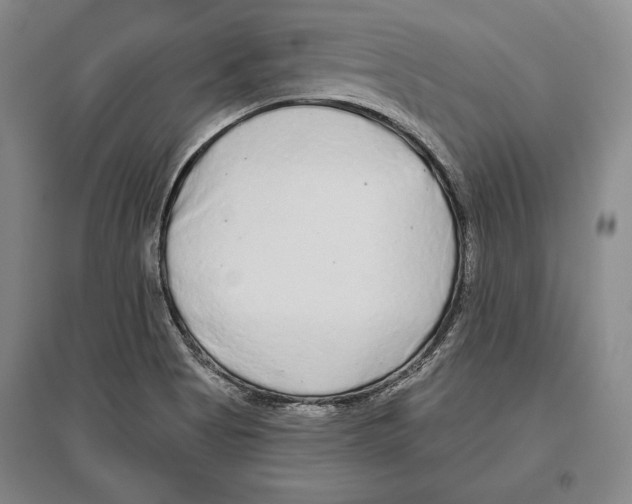X0000096631513200803041053