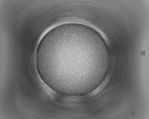 X0000096631514200803041053