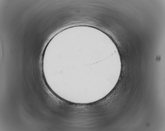 X0000096631516200803041053