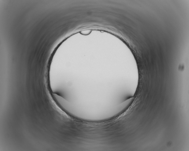 X0000096631518200803041053
