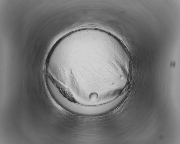 X0000096631519200803041053