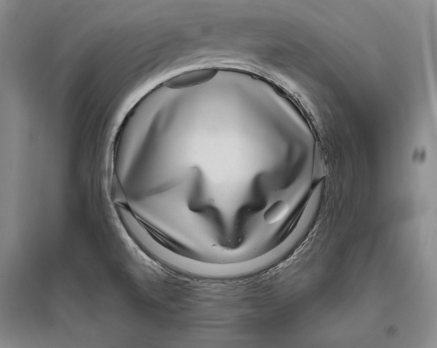 X0000096631520200803041053