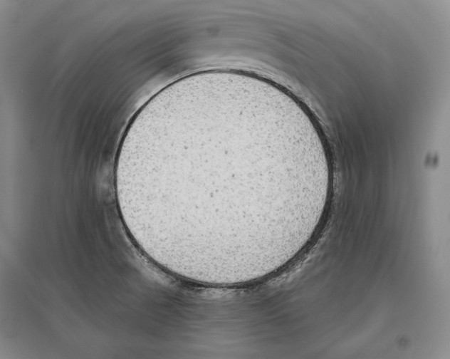 X0000096631521200803041053
