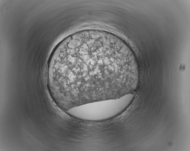 X0000096631522200803041053