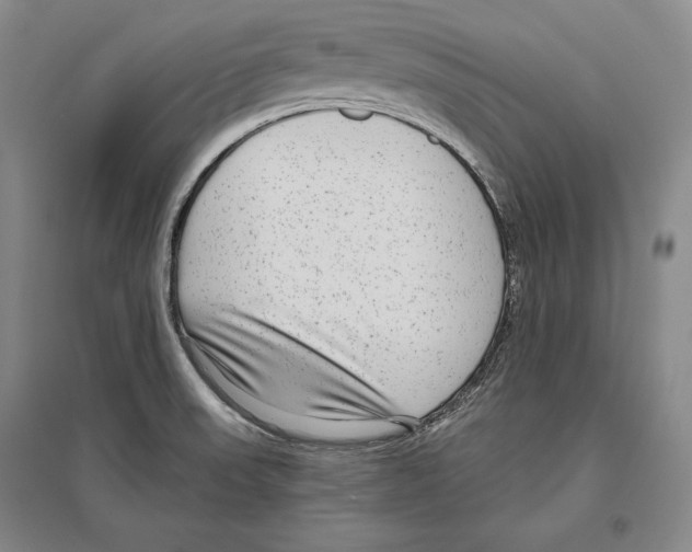 X0000096631523200803041053