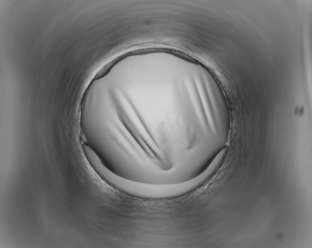 X0000096631524200803041053