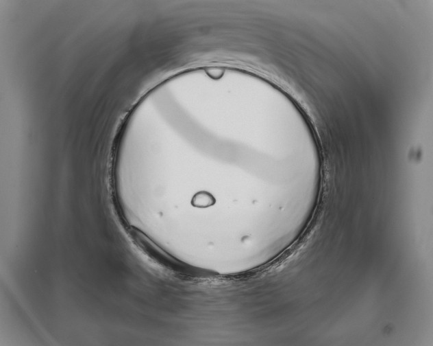 X0000096631525200803041053