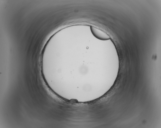 X0000096631526200803041053