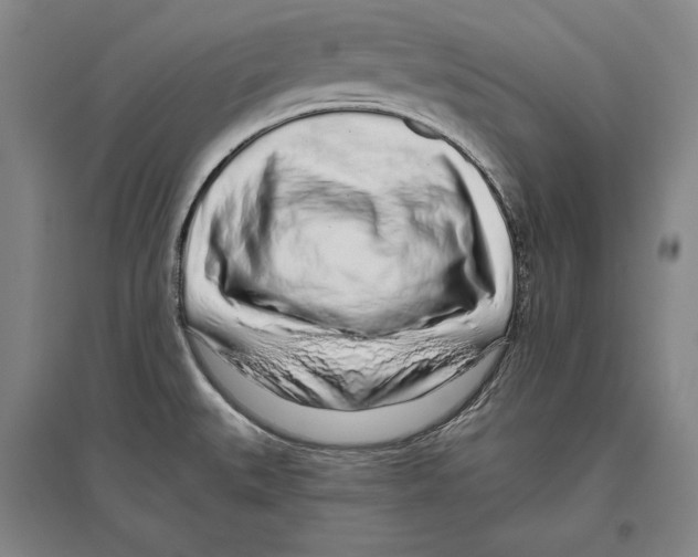 X0000096631527200803041053