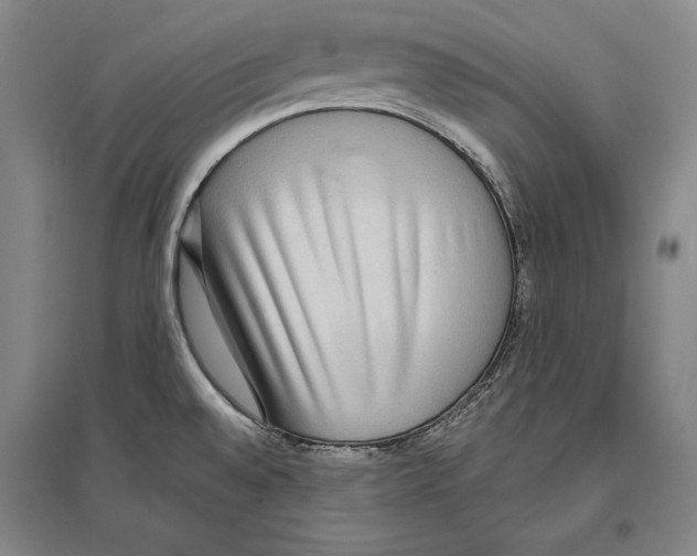 X0000096631528200803041053